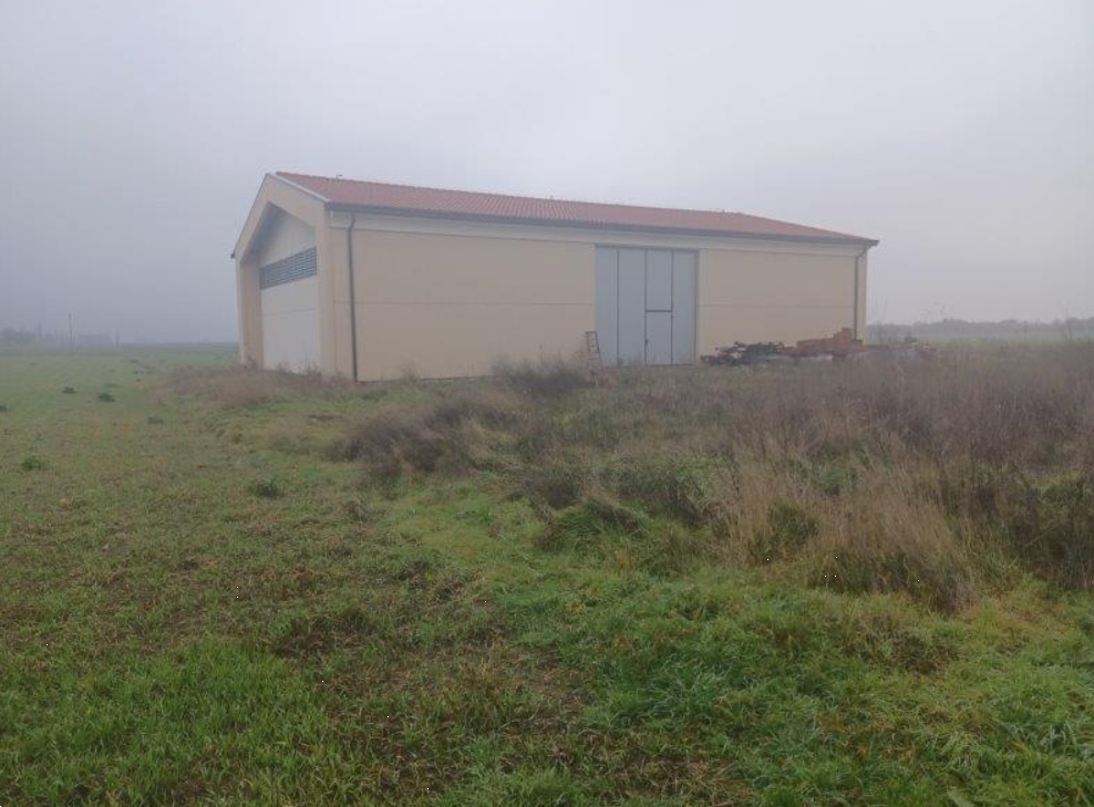 immagine annuncio 6 di 13