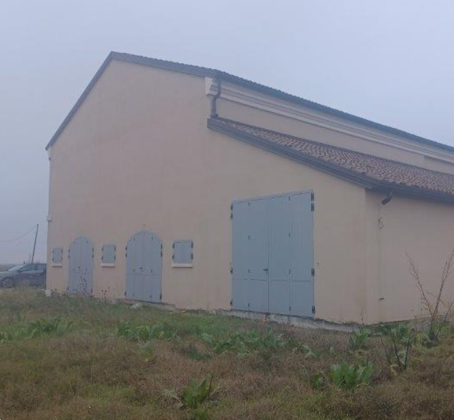 immagine annuncio 11 di 13