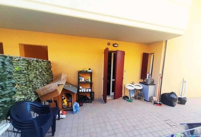 immagine annuncio 3 di 12