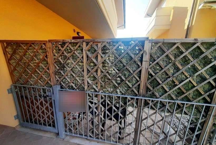 immagine annuncio 5 di 12