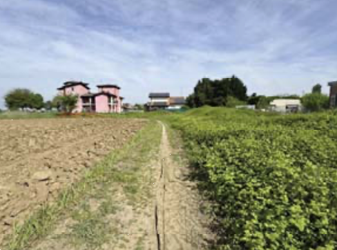 immagine annuncio 2 di 11