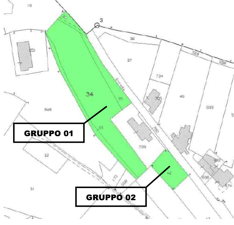 immagine annuncio 5 di 10