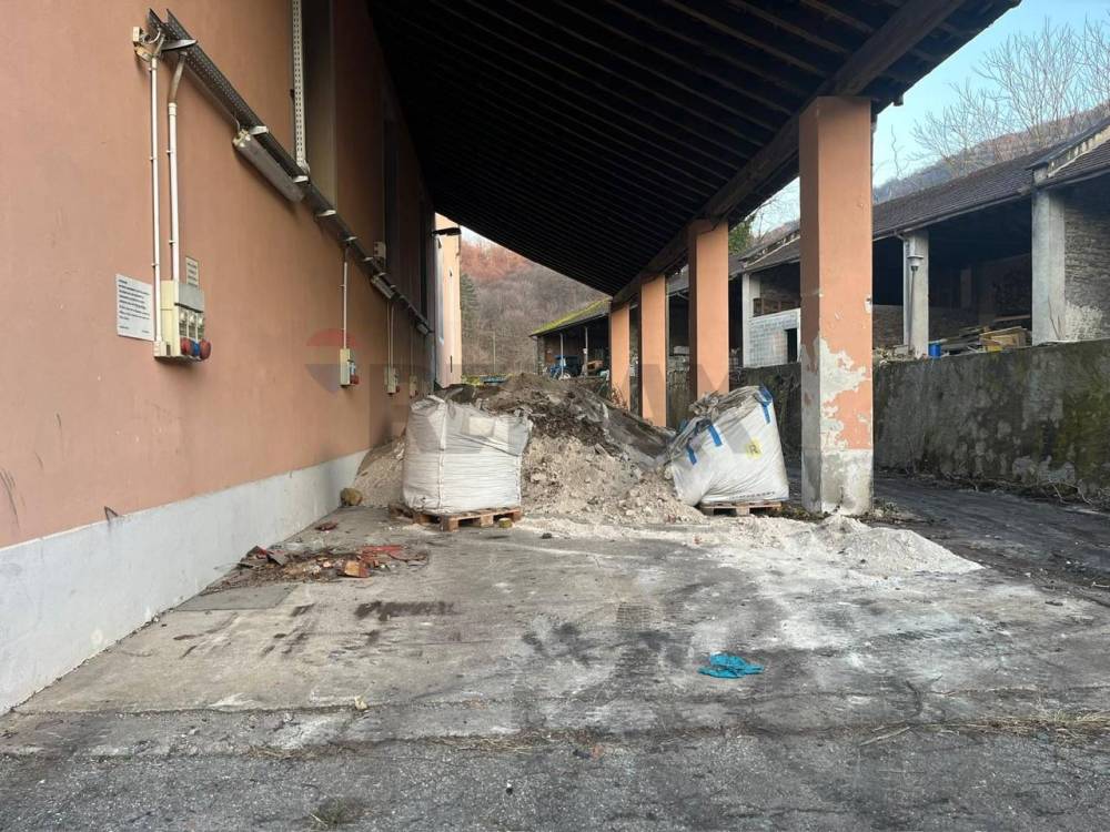 immagine annuncio 3 di 6