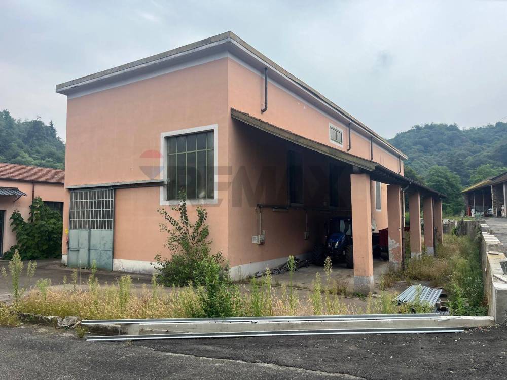 immagine annuncio 2 di 6