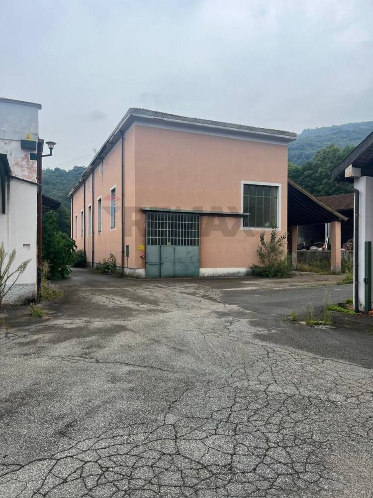 immagine annuncio 4 di 6