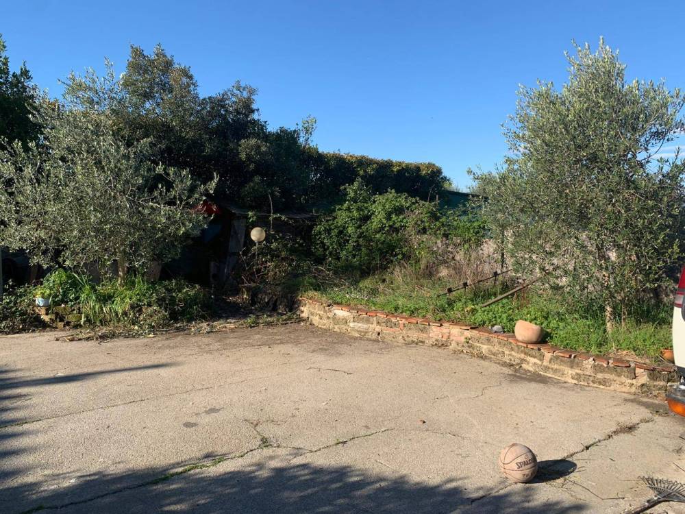 immagine annuncio 6 di 13