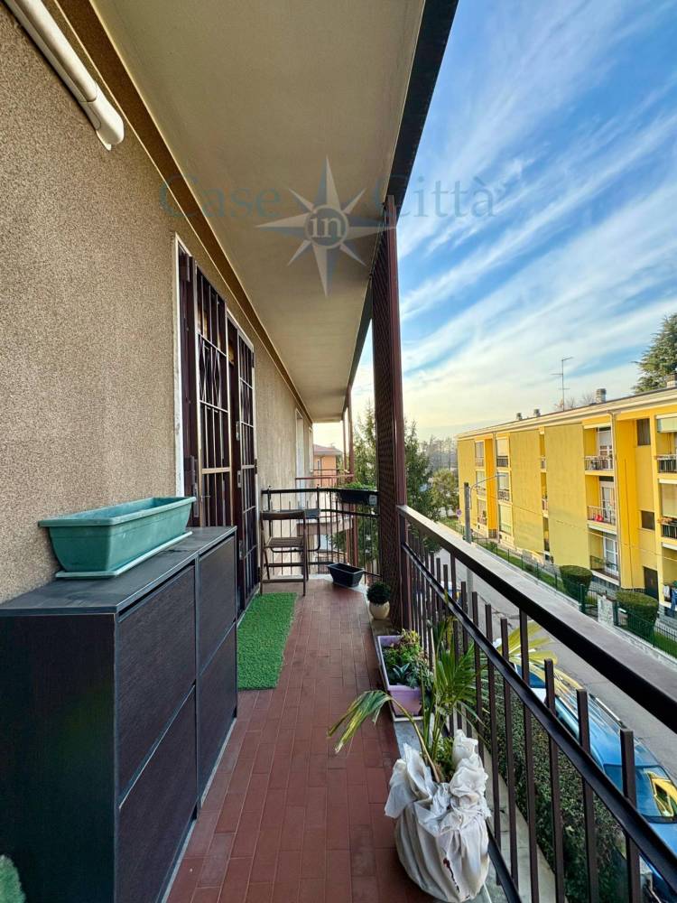 immagine annuncio 12 di 13