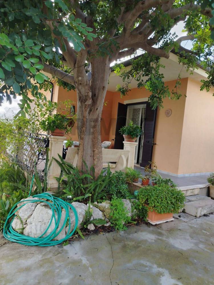 immagine annuncio 2 di 14