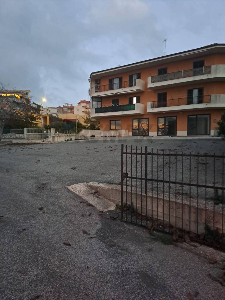 immagine annuncio 11 di 13