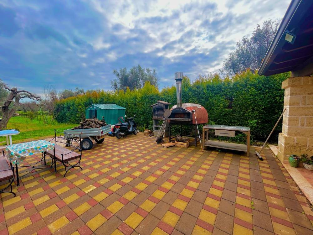 immagine annuncio 1 di 10