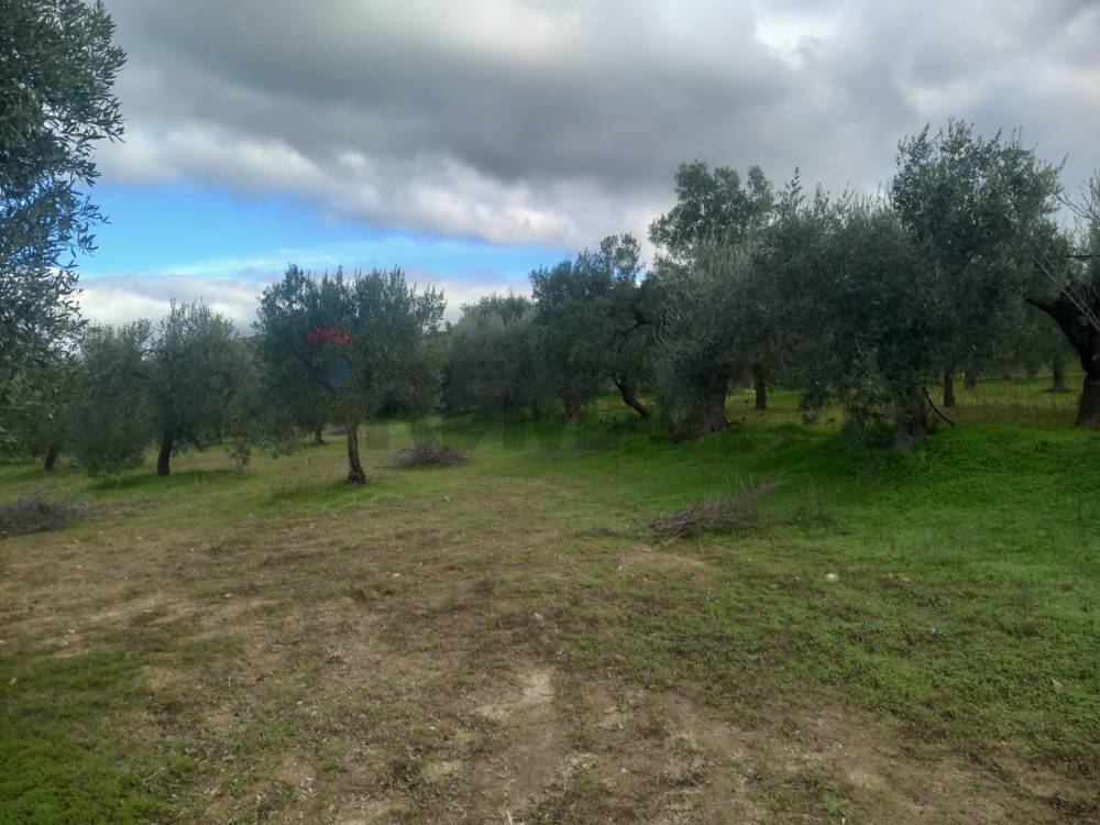 immagine annuncio 10 di 13