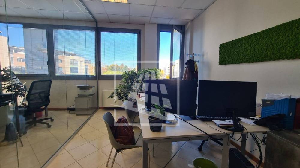 immagine annuncio 9 di 13