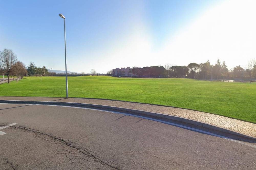 immagine annuncio 2 di 4