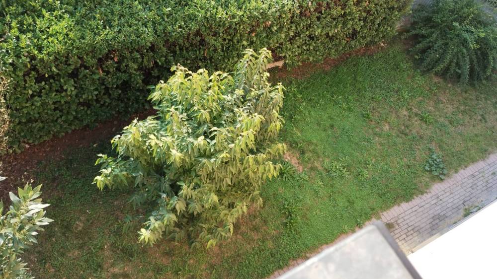 immagine annuncio 11 di 13