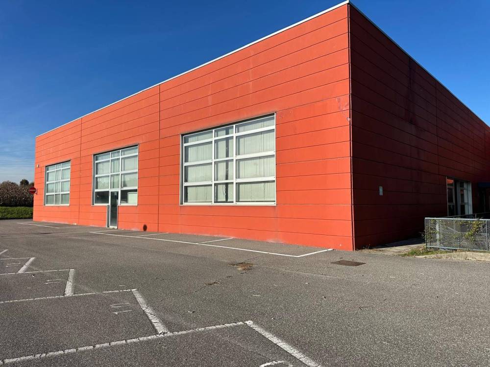 immagine annuncio 4 di 13