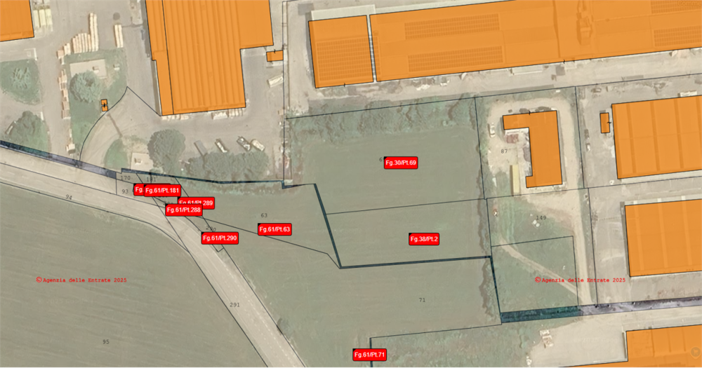 immagine annuncio 5 di 11