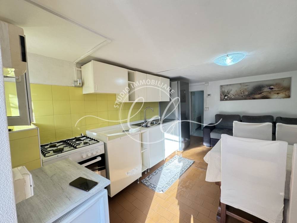 immagine annuncio 1 di 13