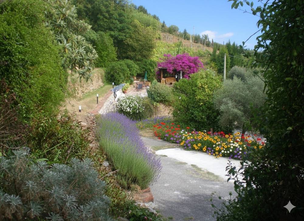 immagine annuncio 3 di 13