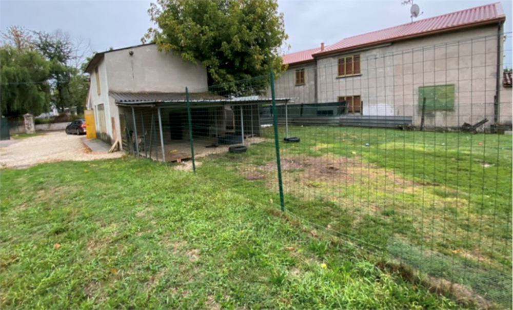 immagine annuncio 2 di 13