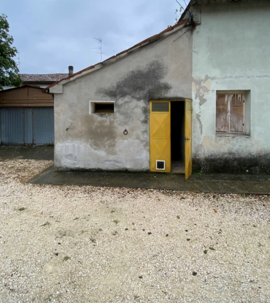 immagine annuncio 3 di 13