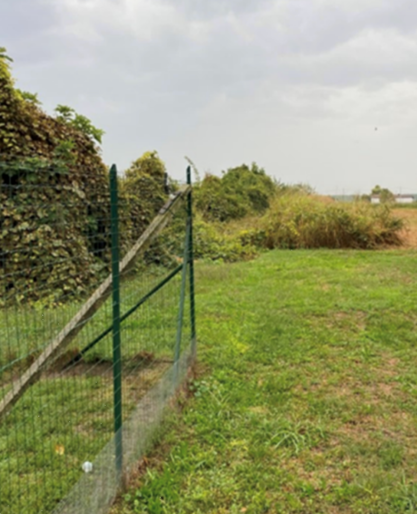 immagine annuncio 4 di 13