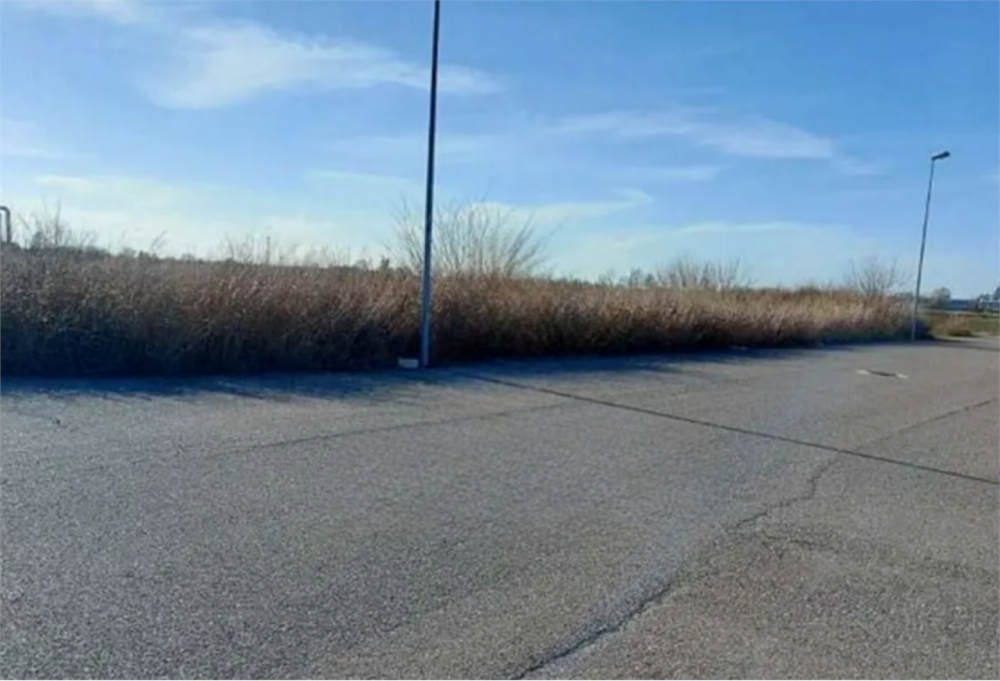 immagine annuncio 4 di 11