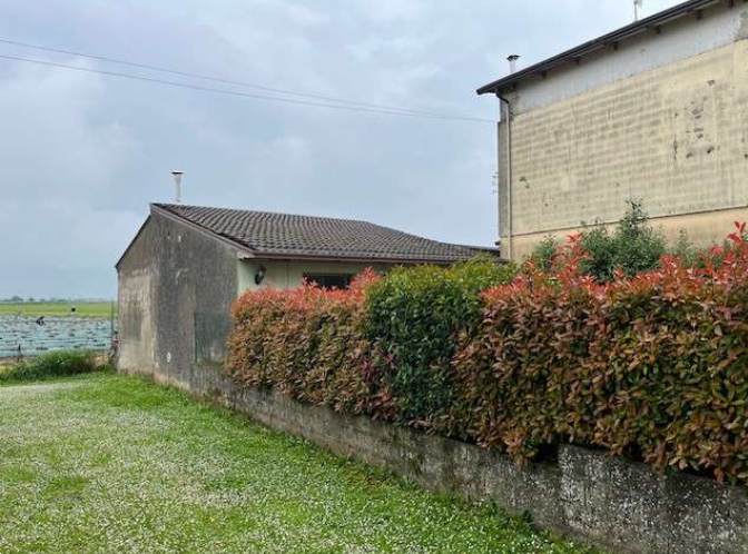 immagine annuncio 6 di 13