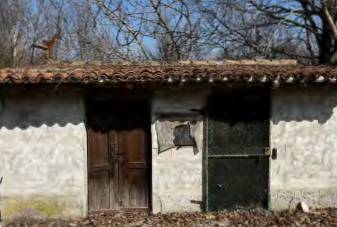 immagine annuncio 6 di 13