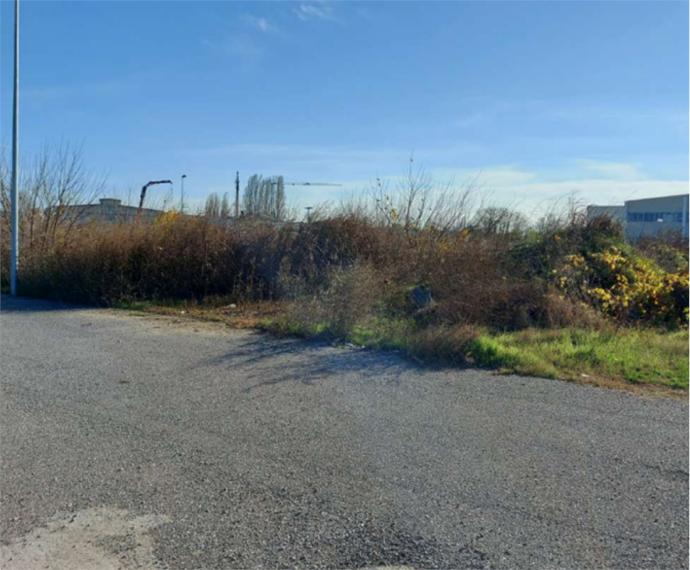 immagine annuncio 6 di 13