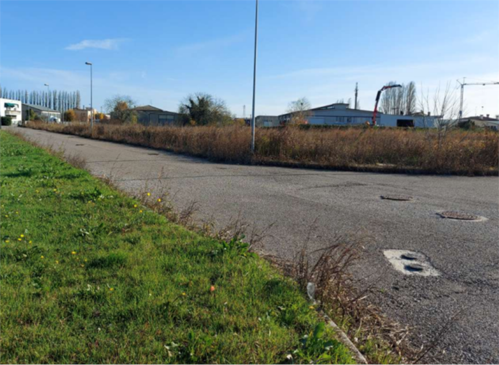 immagine annuncio 3 di 13