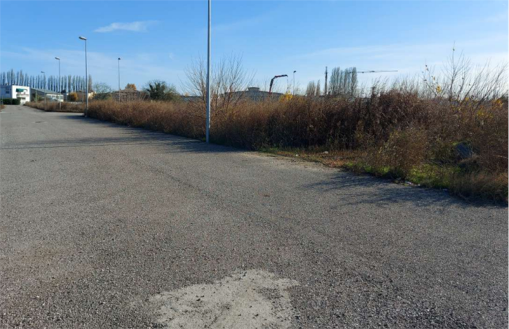 immagine annuncio 4 di 13