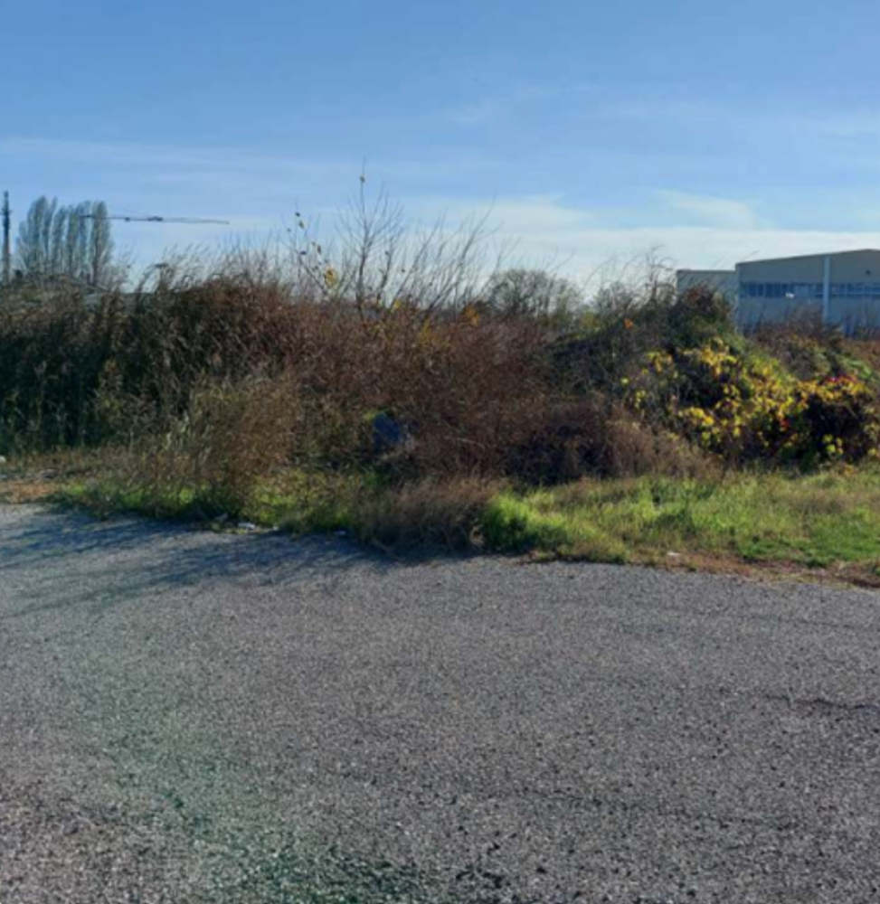 immagine annuncio 5 di 13