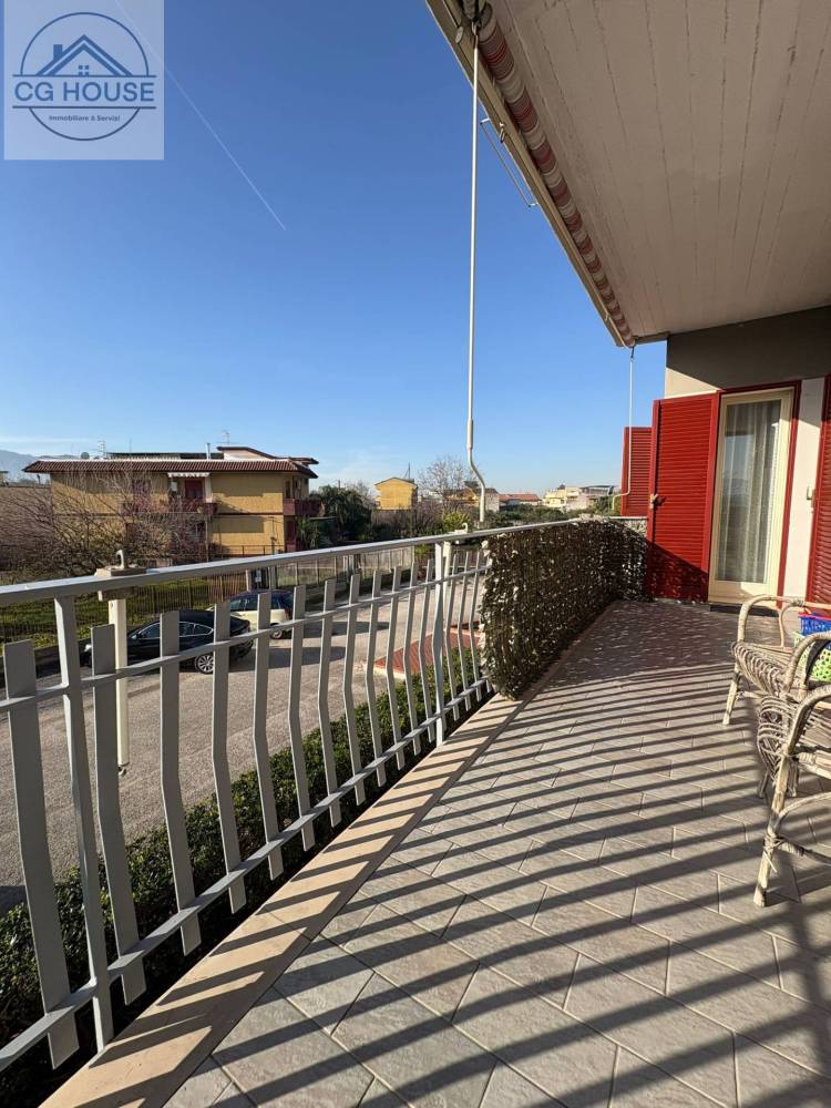 immagine annuncio 11 di 13