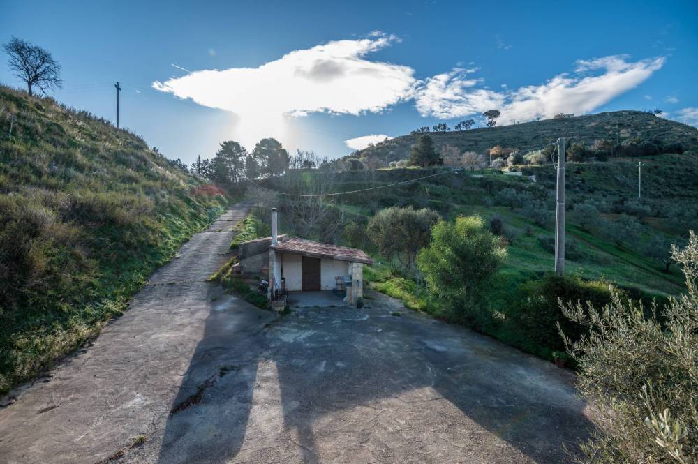 immagine annuncio 6 di 13