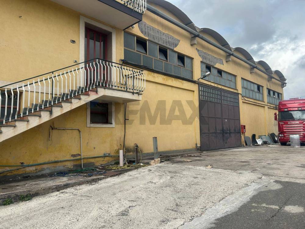 immagine annuncio 2 di 12