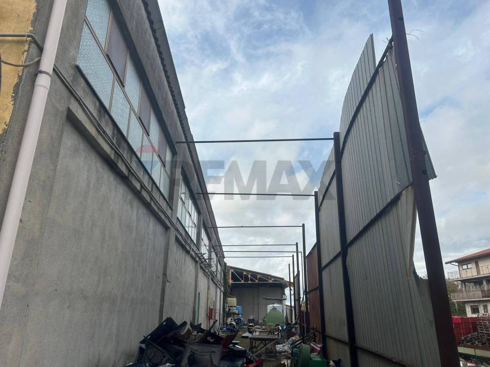 immagine annuncio 4 di 12