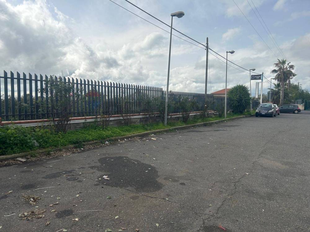 immagine annuncio 6 di 12