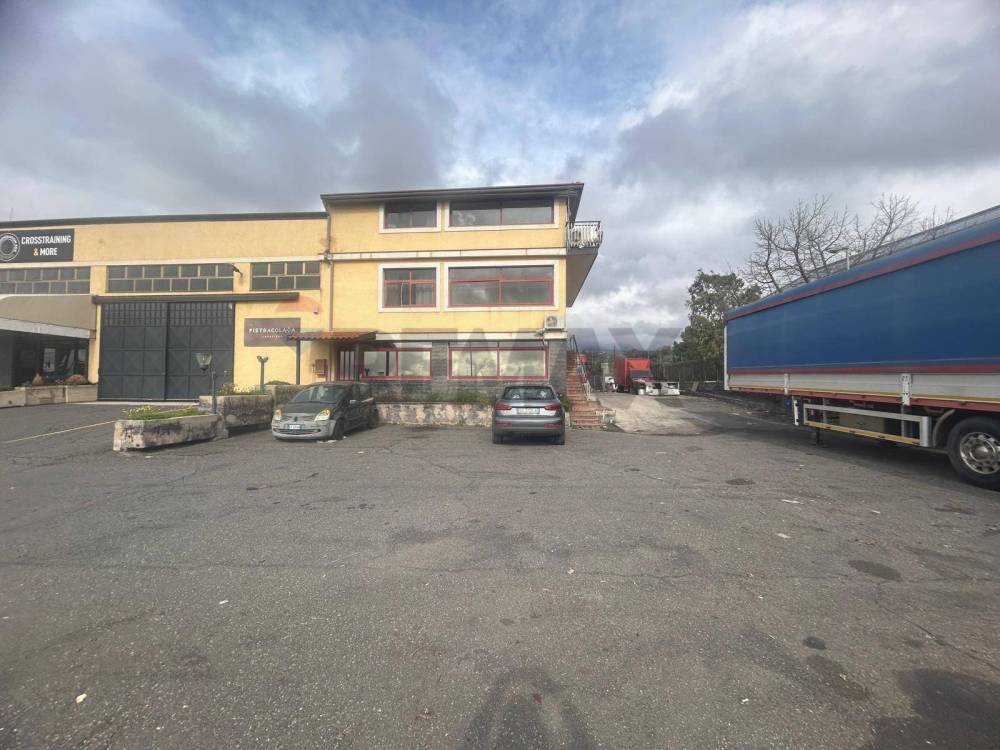 immagine annuncio 9 di 12