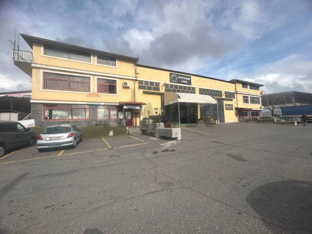 immagine annuncio 10 di 12