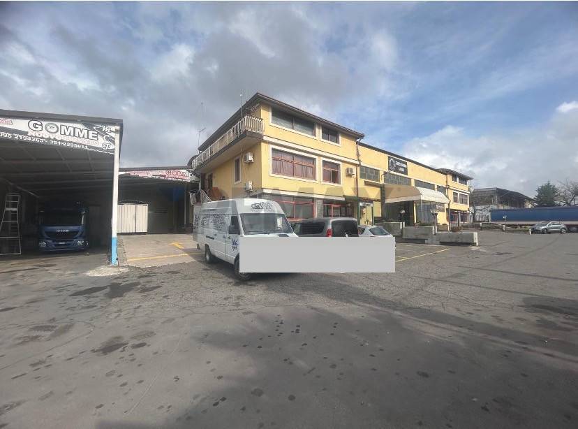 immagine annuncio 1 di 12