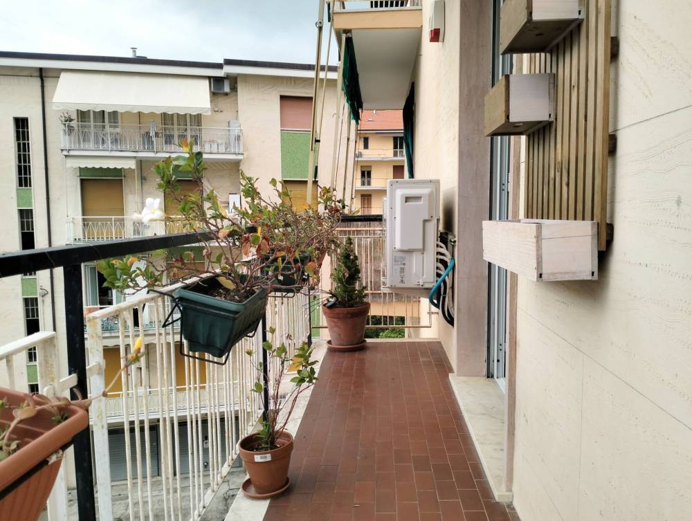 immagine annuncio 3 di 13