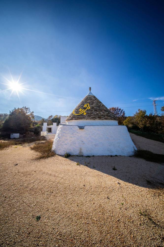 immagine annuncio 3 di 13