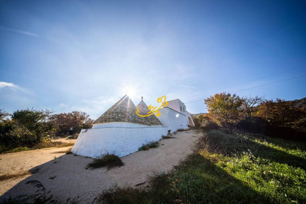 immagine annuncio 4 di 13