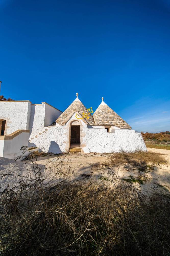 immagine annuncio 9 di 13