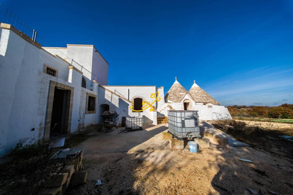 immagine annuncio 10 di 13