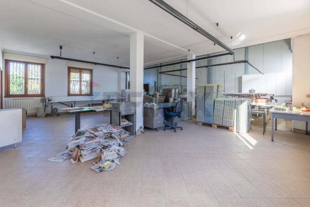 immagine annuncio 11 di 13