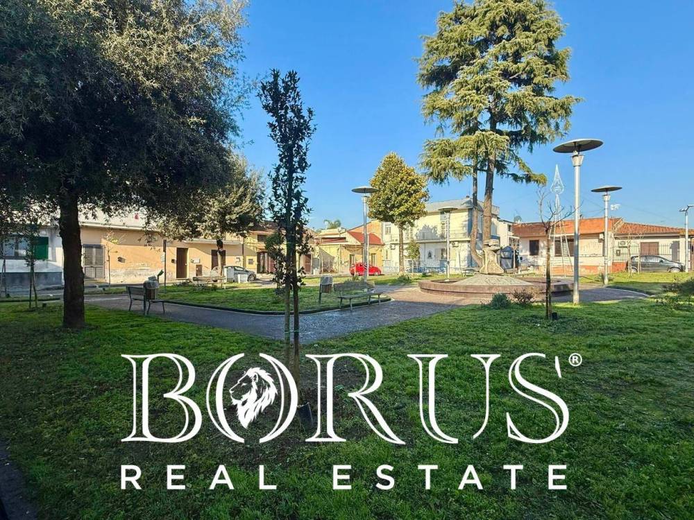 immagine annuncio 2 di 6