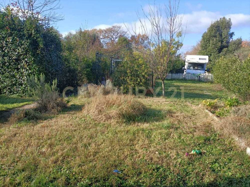 immagine annuncio 10 di 13