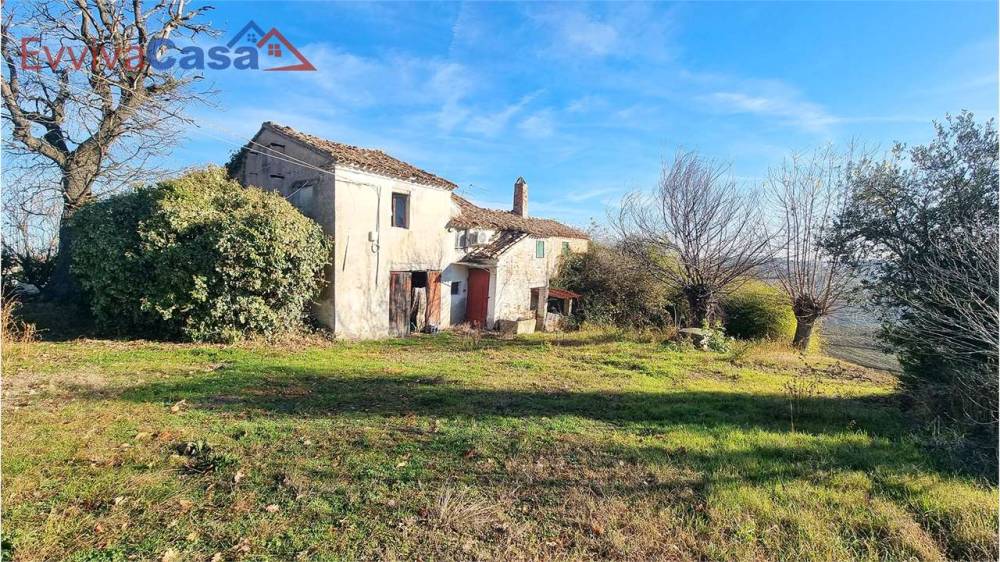 immagine annuncio 2 di 13