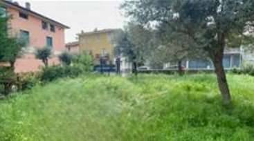 immagine annuncio 5 di 13